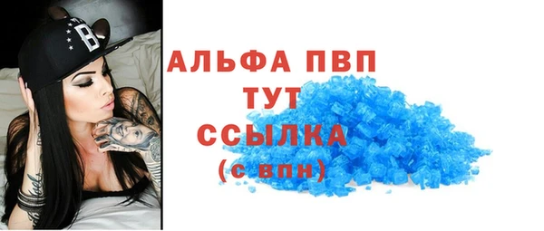 PSILOCYBIN Инсар