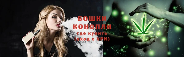 PSILOCYBIN Инсар