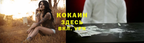 PSILOCYBIN Инсар